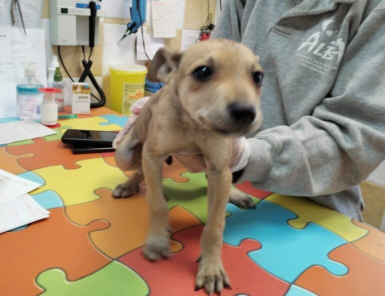 multimedia-foto88640-587-1