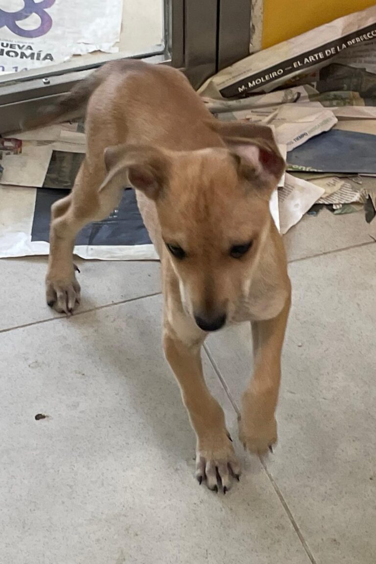 multimedia-foto88641-587-1