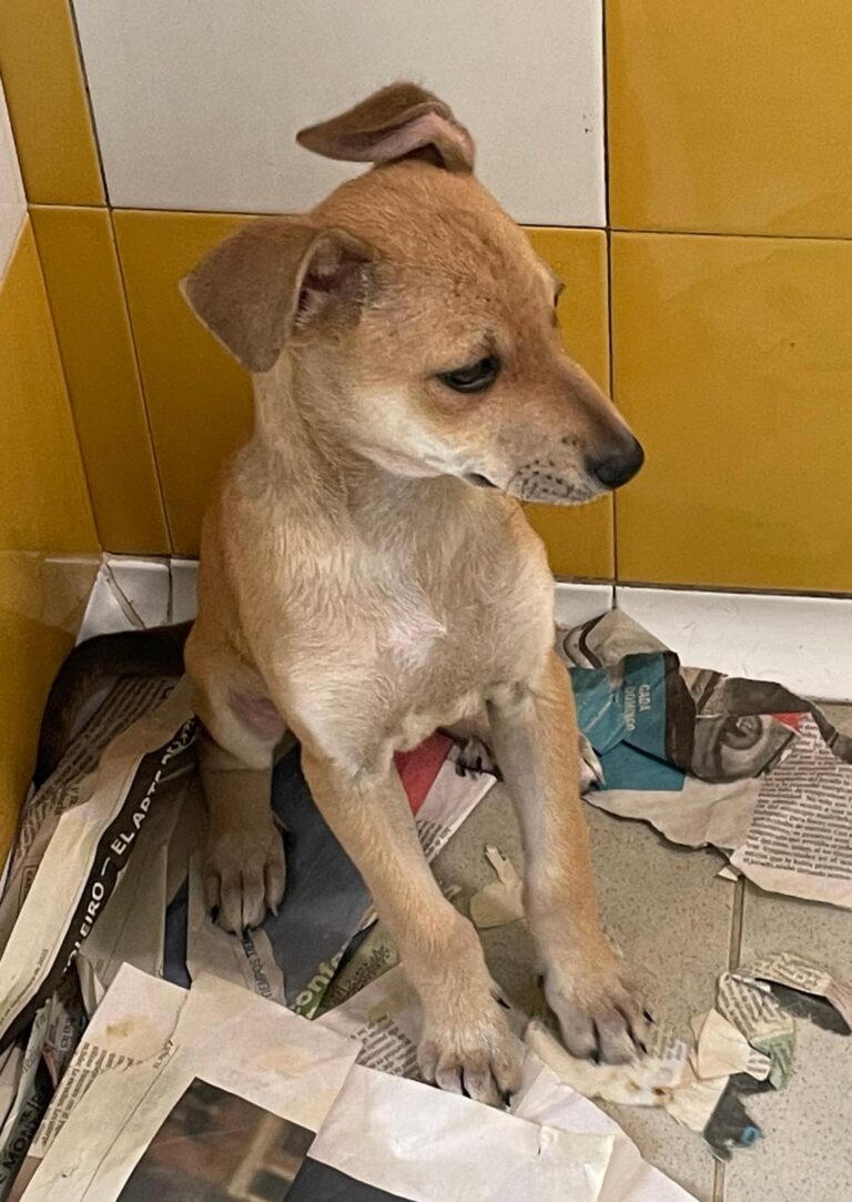 multimedia-foto88642-587-1