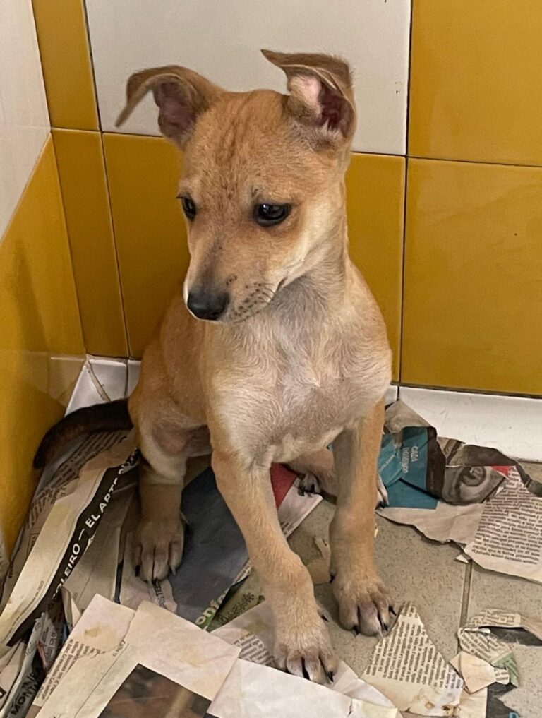 multimedia-foto88643-588-1