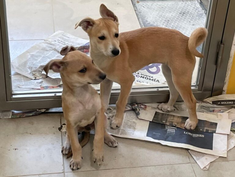 multimedia-foto88644-588-1