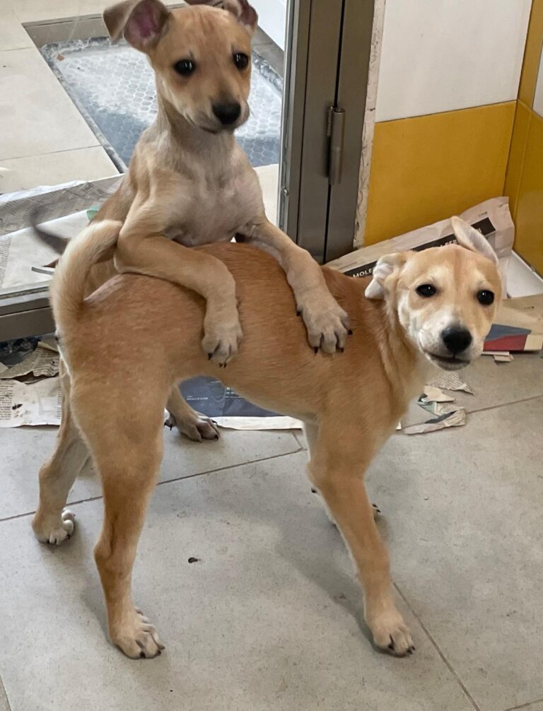 multimedia-foto88645-588-1