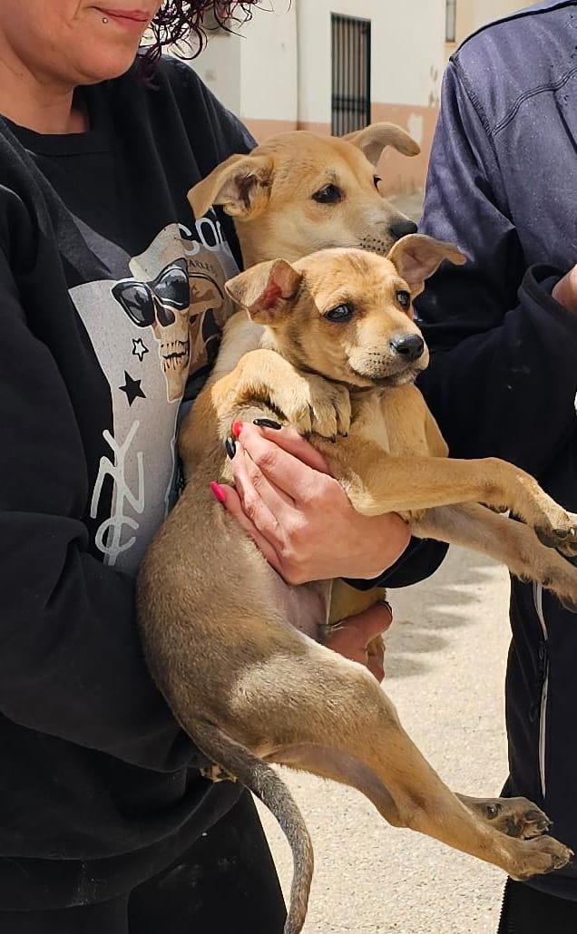 multimedia-foto88648-642-1