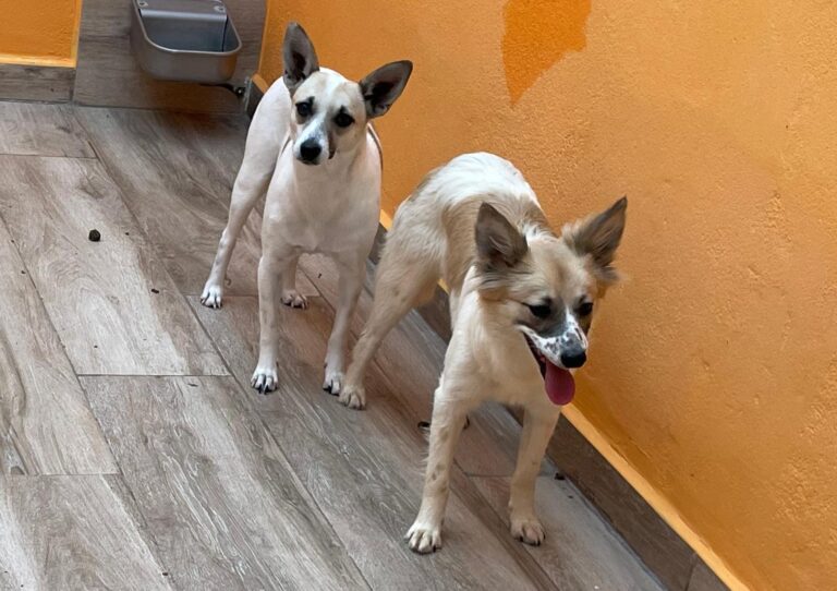 multimedia-foto88688-73-1