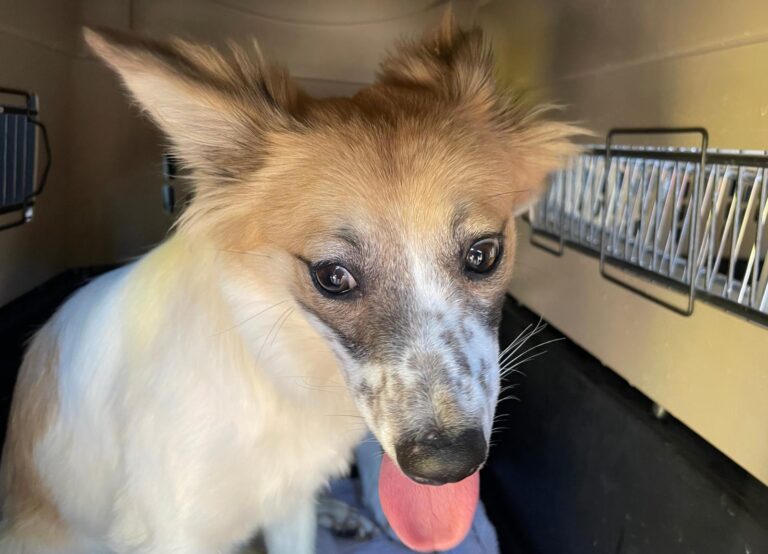 multimedia-foto88690-73-1