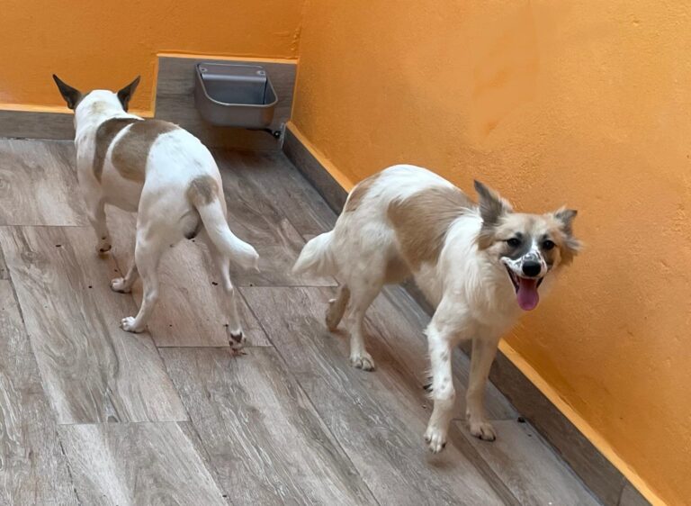 multimedia-foto88691-206-1