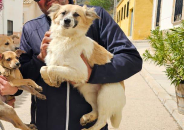 multimedia-foto88692-206-1