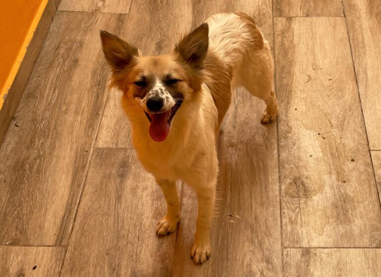 multimedia-foto88693-224-1