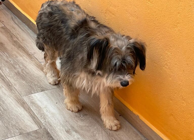 multimedia-foto88701-761-1