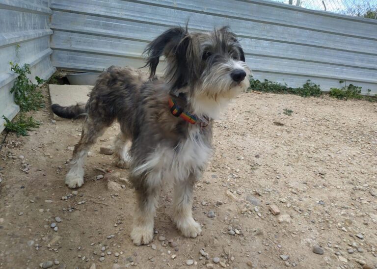 multimedia-foto88704-825-1