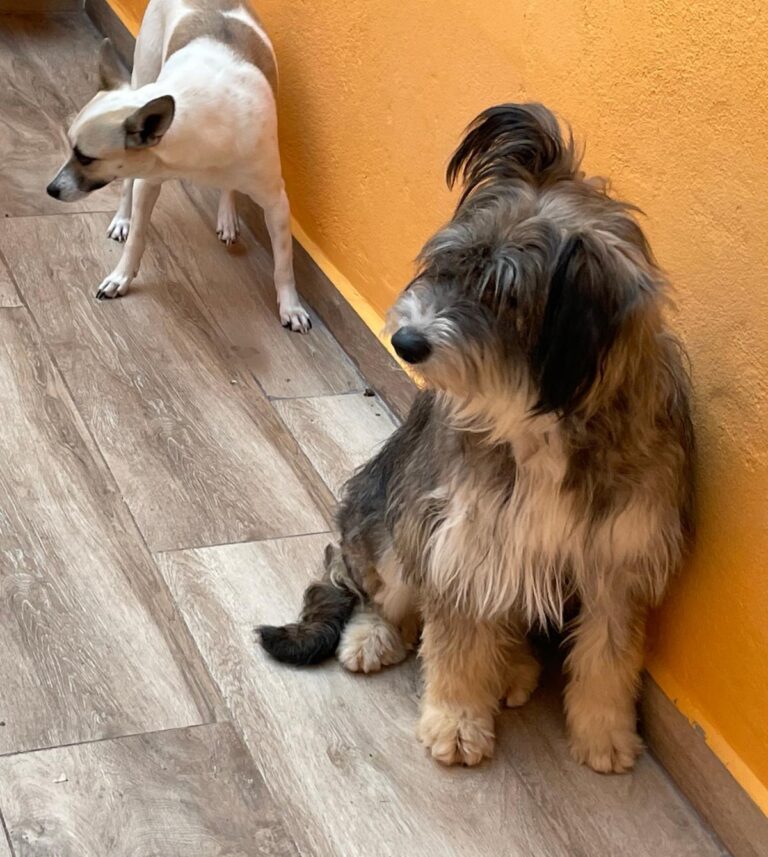 multimedia-foto88705-825-1