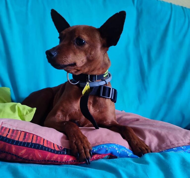 multimedia-foto88715-29-1