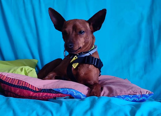 multimedia-foto88717-30-1