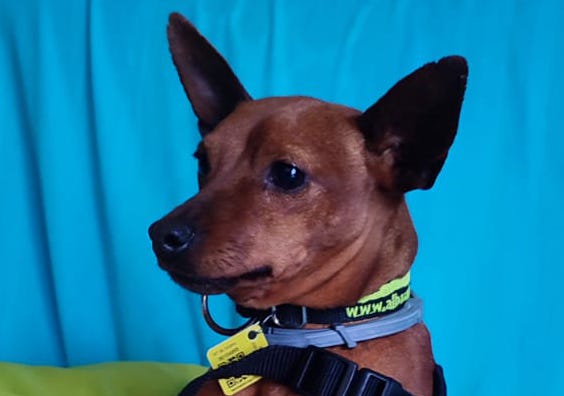 multimedia-foto88718-30-1