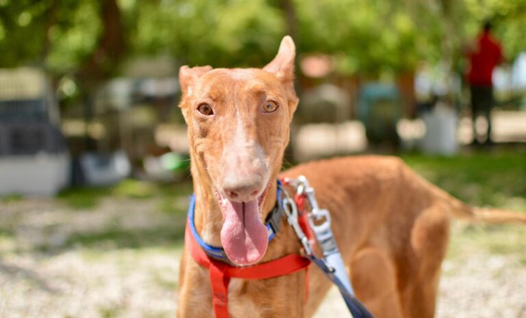 multimedia-foto88719-119-1