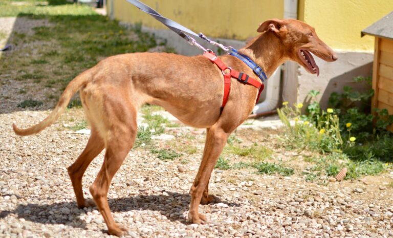 multimedia-foto88721-119-1