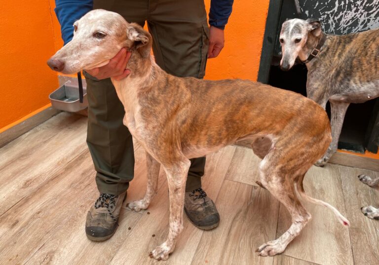 multimedia-foto88730-601-1