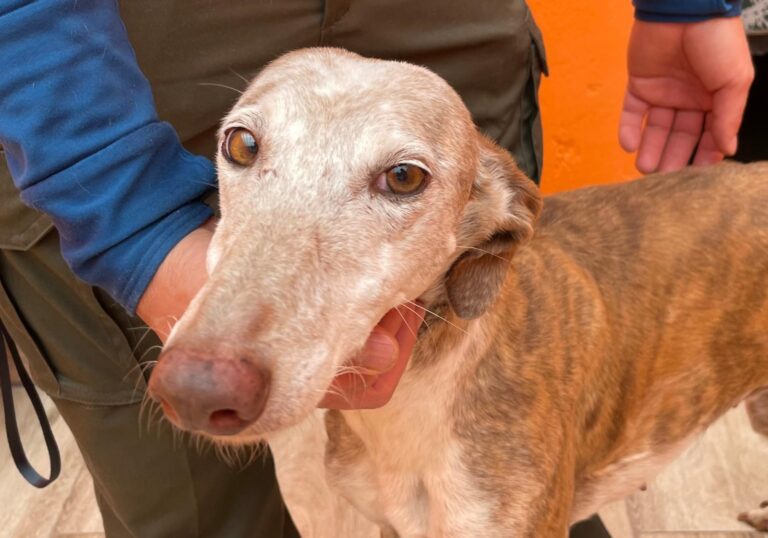 multimedia-foto88731-601-1