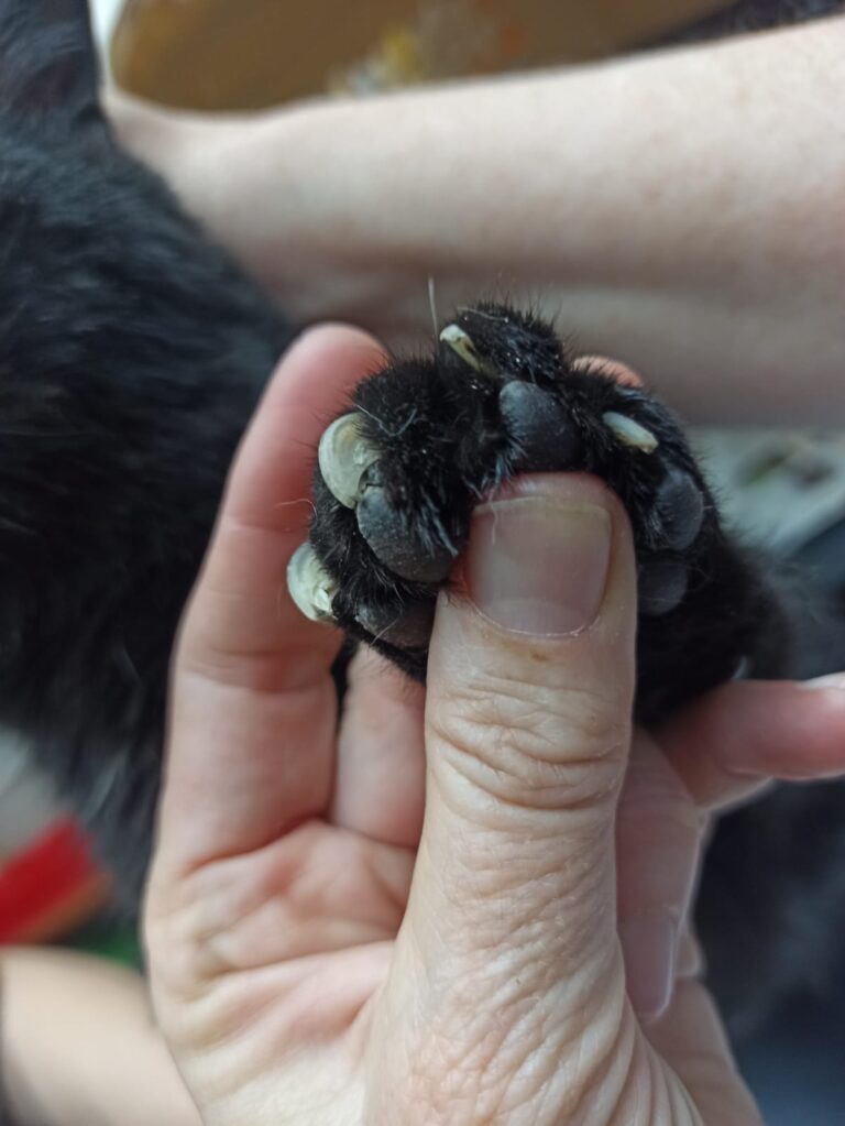 multimedia-foto88759-848-1