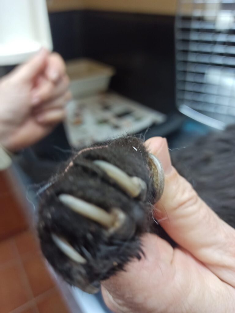 multimedia-foto88760-849-1