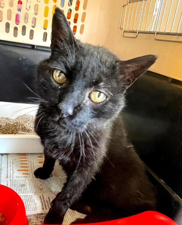 multimedia-foto88762-849-1