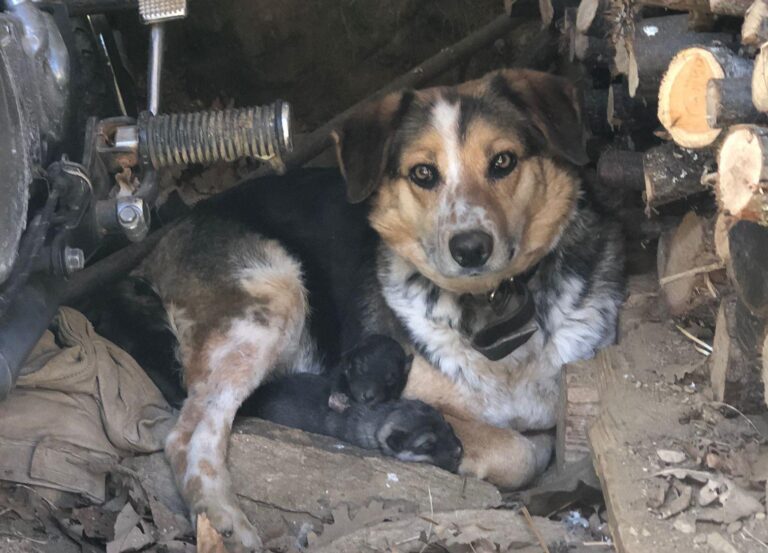 multimedia-foto88850-614-1