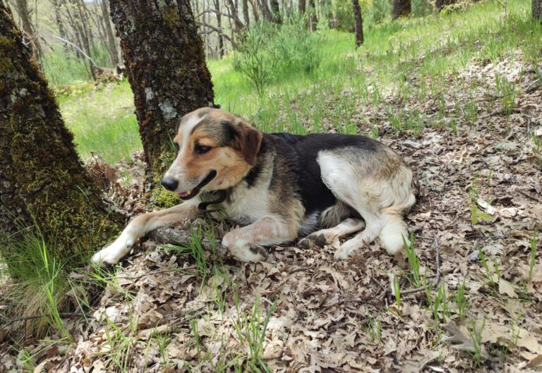 multimedia-foto88853-614-1