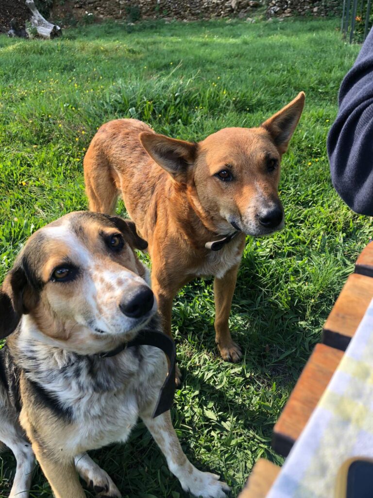 multimedia-foto88859-624-1