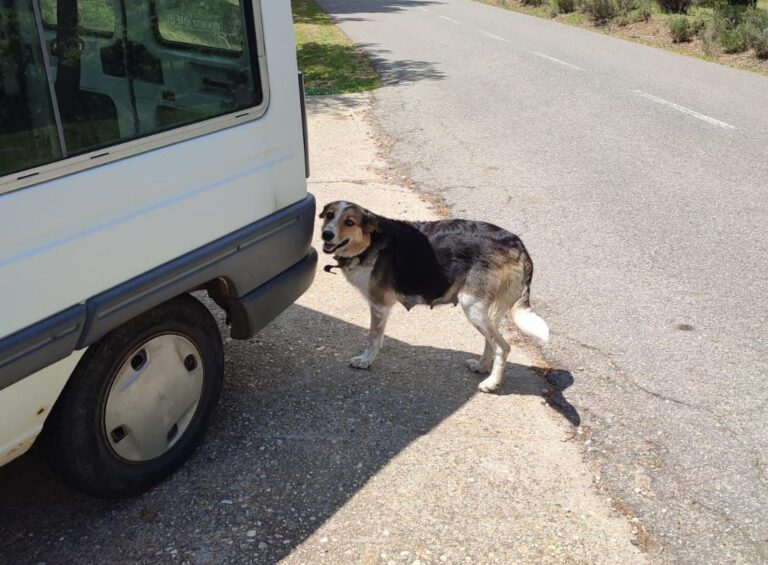 multimedia-foto88860-624-1