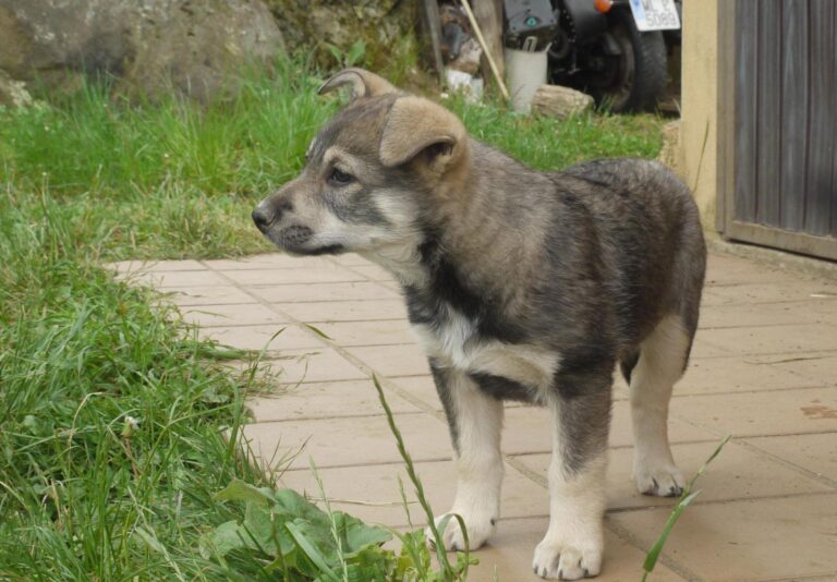 multimedia-foto88862-848-1