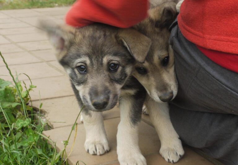 multimedia-foto88863-848-1