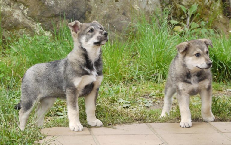 multimedia-foto88864-848-1