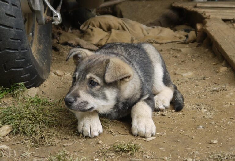 multimedia-foto88865-848-1