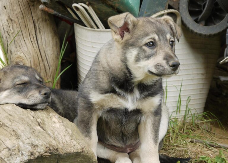 multimedia-foto88866-849-1