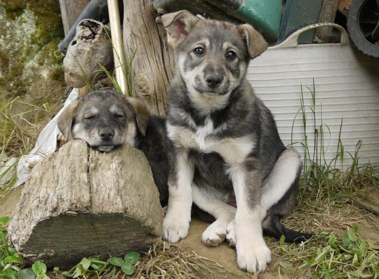 multimedia-foto88867-849-1