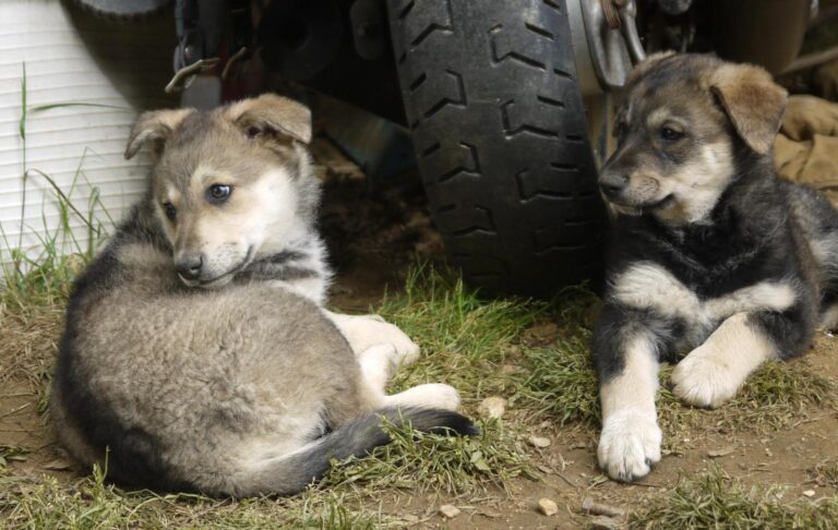 multimedia-foto88876-81-1