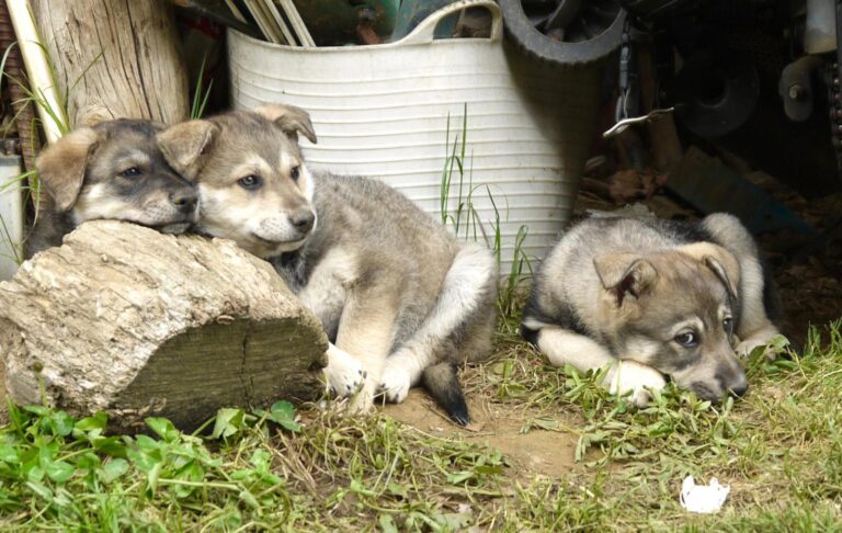 multimedia-foto88877-81-1