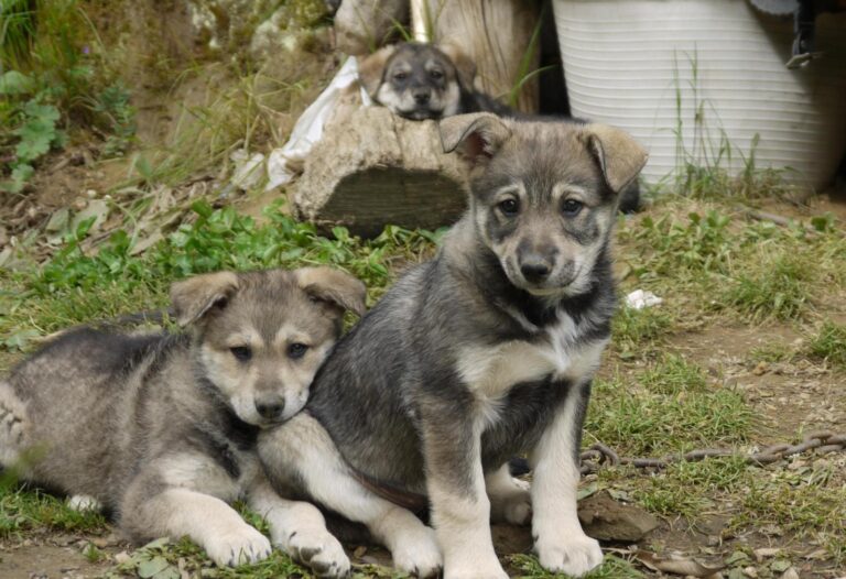 multimedia-foto88878-81-1