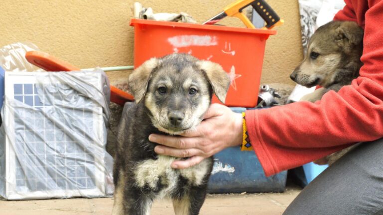 multimedia-foto88879-82-1