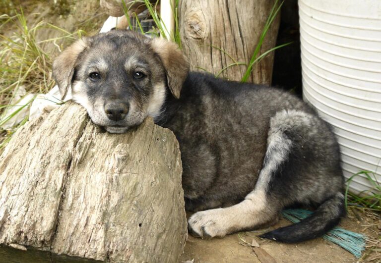 multimedia-foto88880-82-1