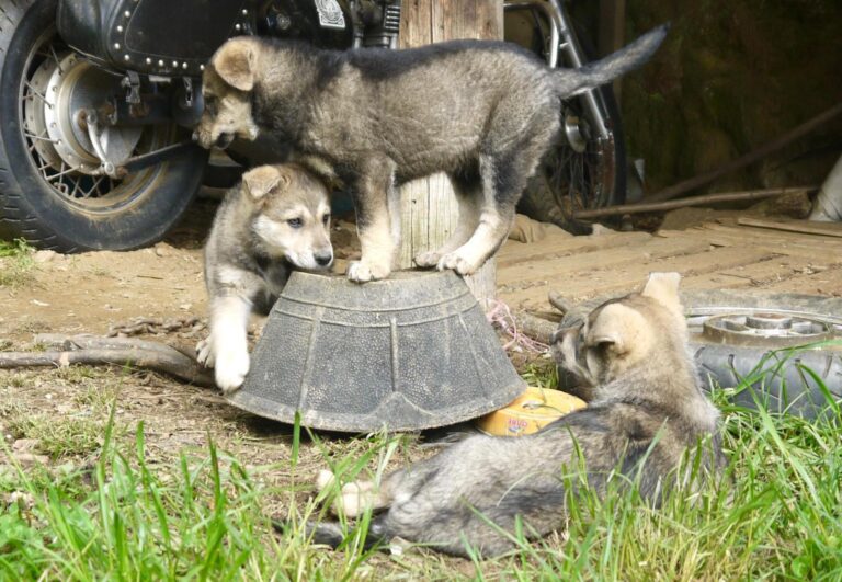 multimedia-foto88881-82-1