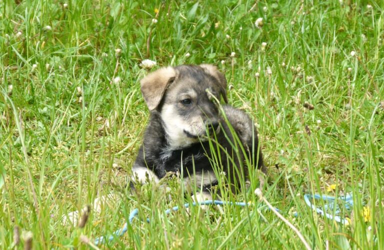 multimedia-foto88882-82-1