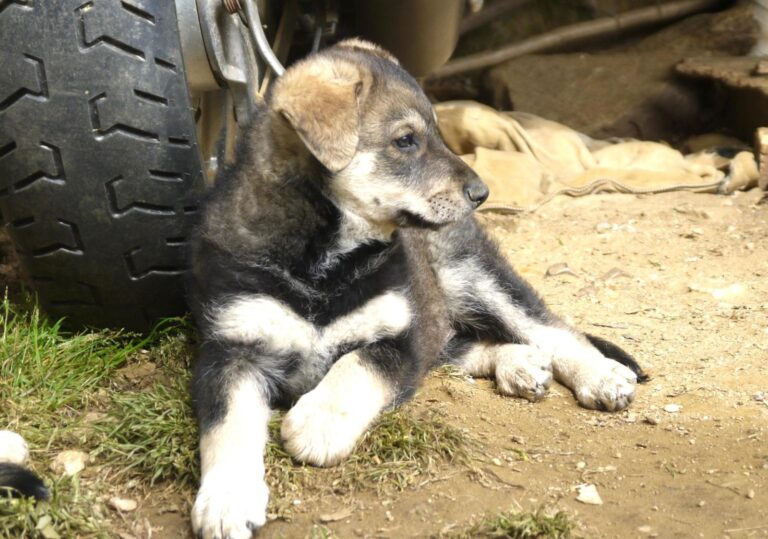 multimedia-foto88883-83-1