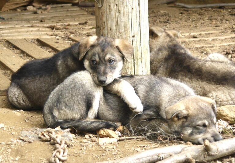 multimedia-foto88884-83-1