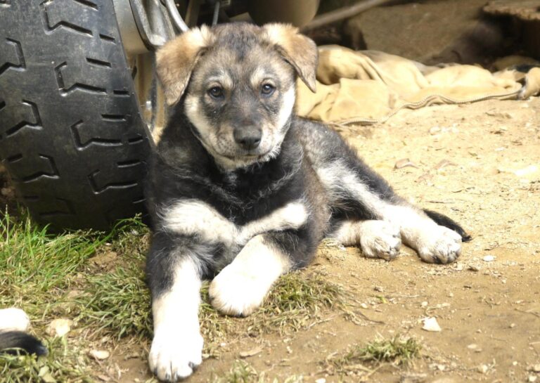 multimedia-foto88885-83-1