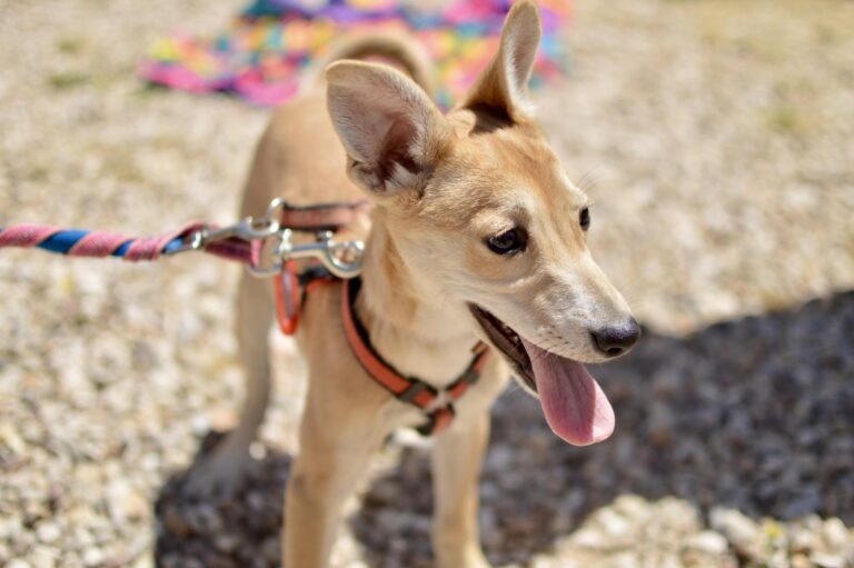 multimedia-foto88905-256-1