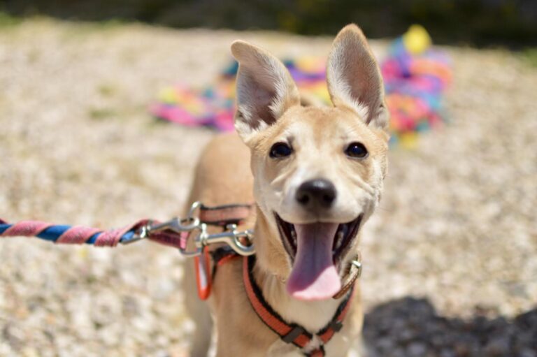 multimedia-foto88906-257-1