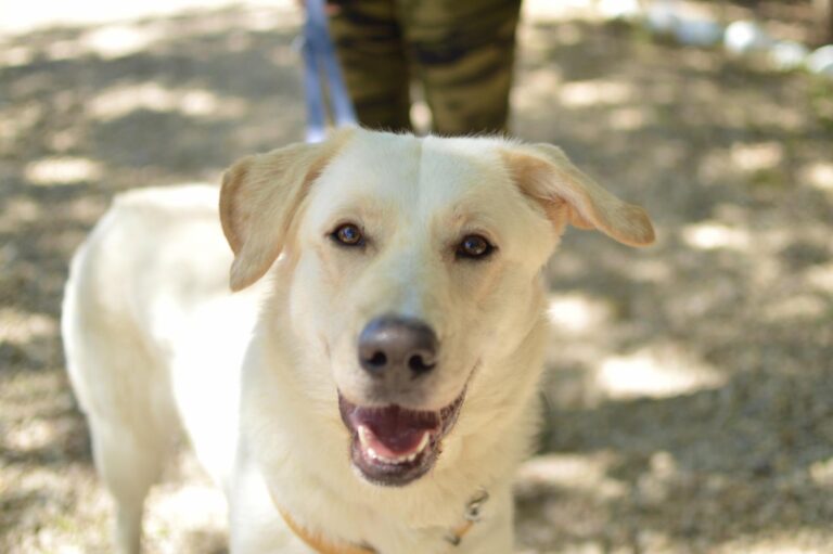 multimedia-foto88908-325-1