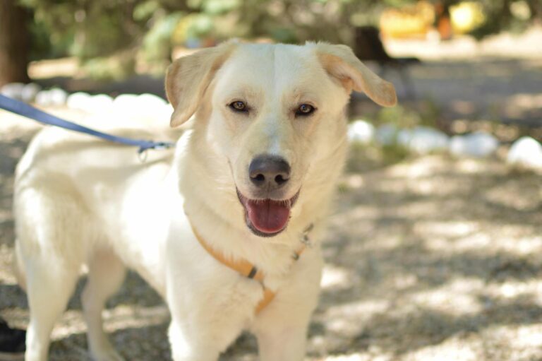 multimedia-foto88909-325-1