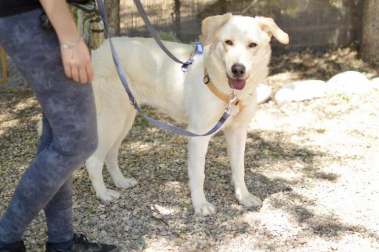 multimedia-foto88910-325-1